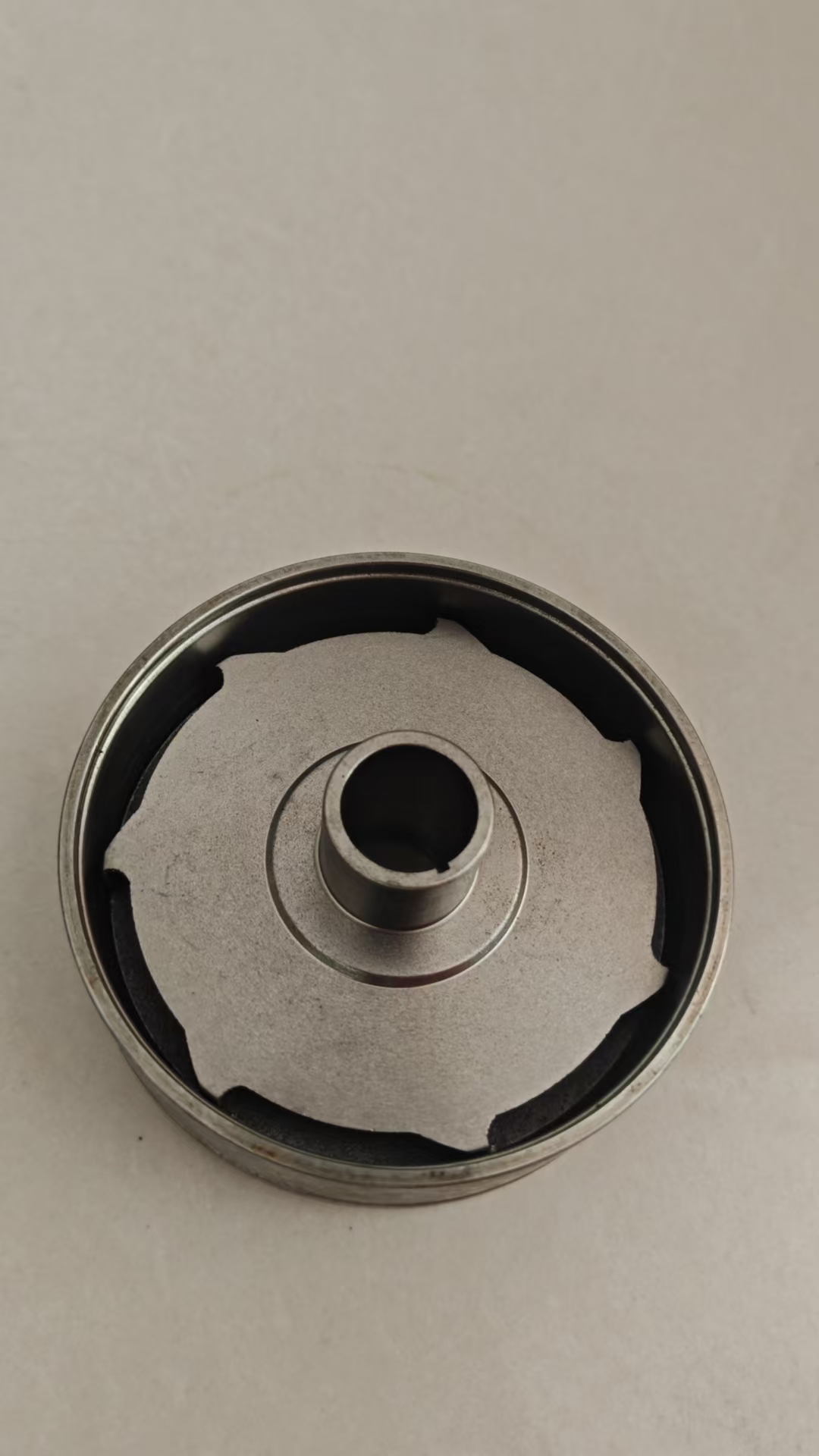 Guide vane Impeller P10