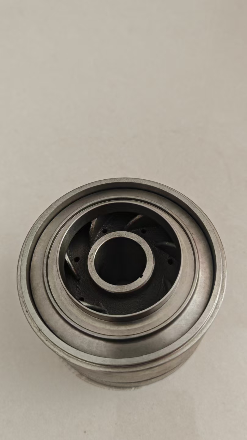 Guide vane Impeller P29
