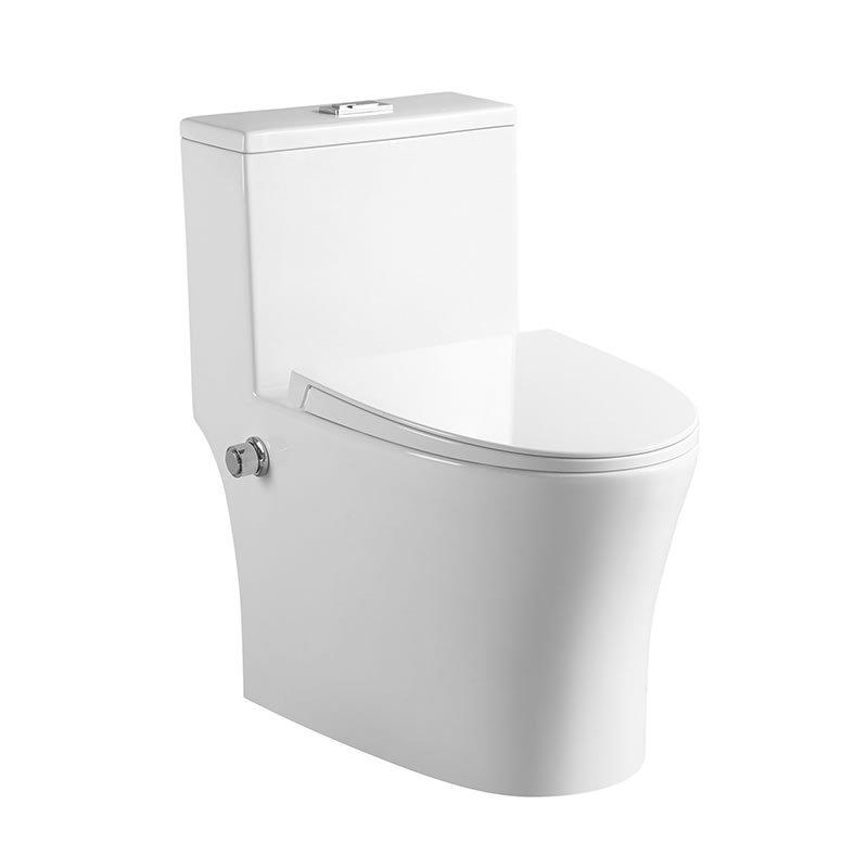 SMOOW one-piece toilet 8609C1