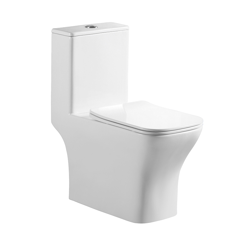 SMOOW one-piece toilet8617