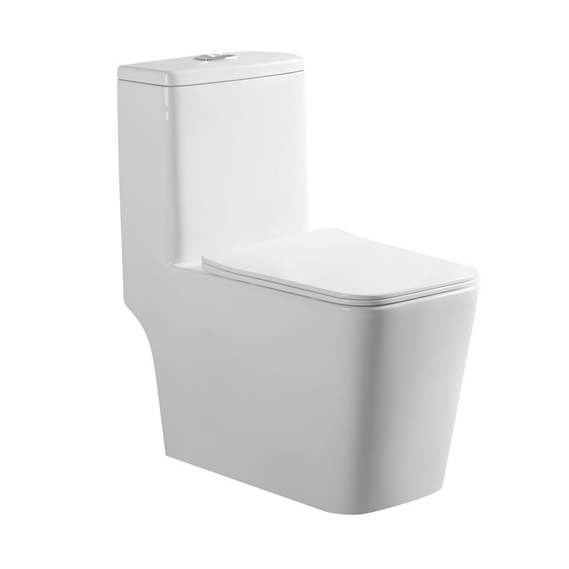 SMOOW one-piece toilet8616