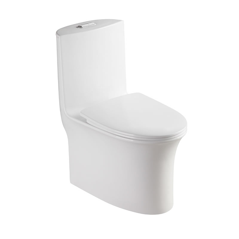 SMOOW one-piece toilet8612