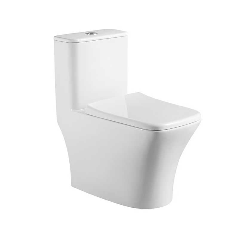 SMOOW one-piece toilet 8621
