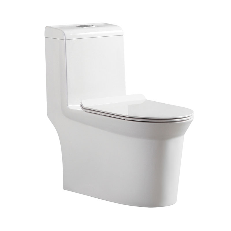 SMOOW one-piece toilet8610