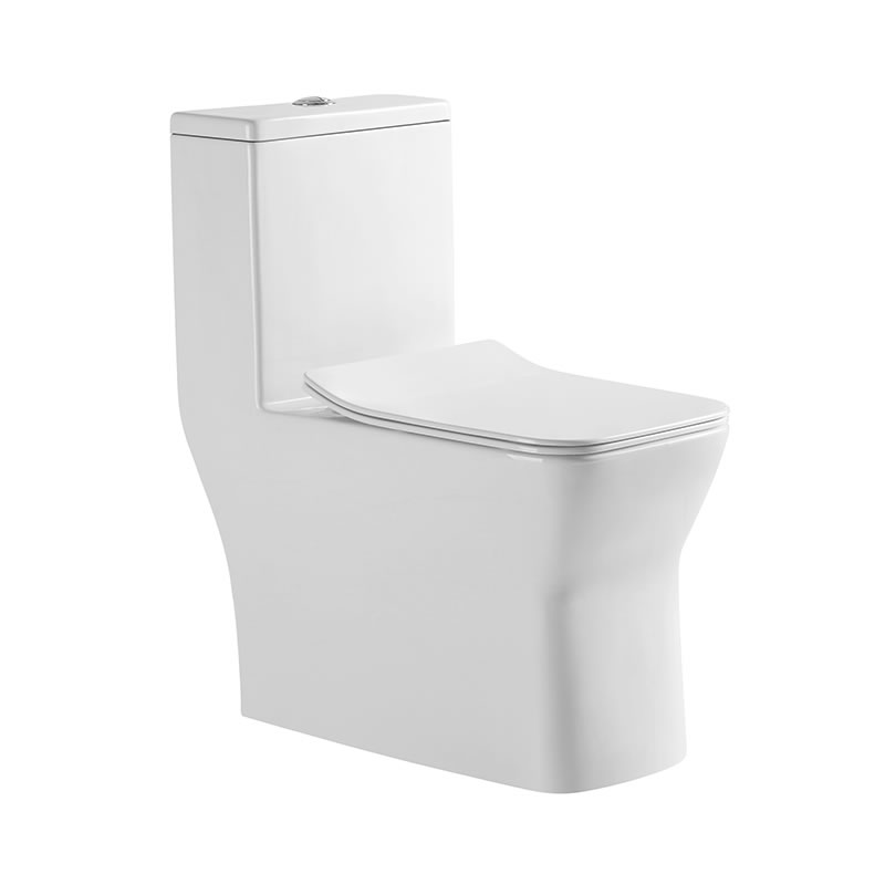 SMOOW one-piece toilet 8608
