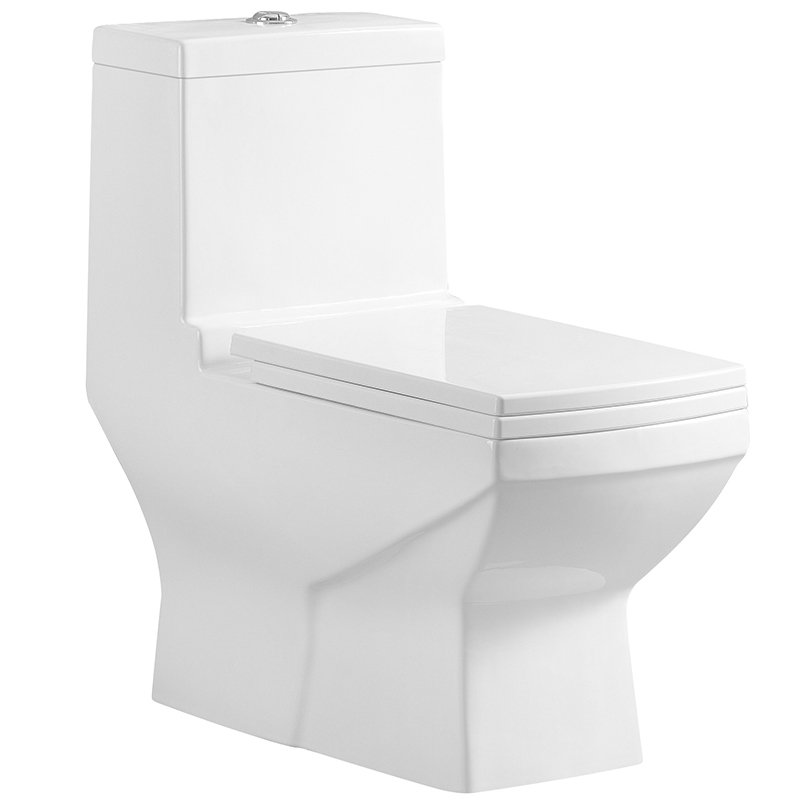 SMOOW one-piece toilet8006A