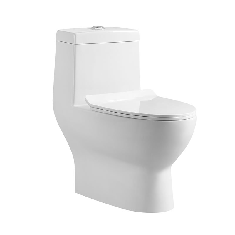 SMOOW one-piece toilet8601