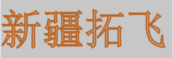 Xinjiang Tuofei Cross-border E-commerce Trading Co., Ltd.