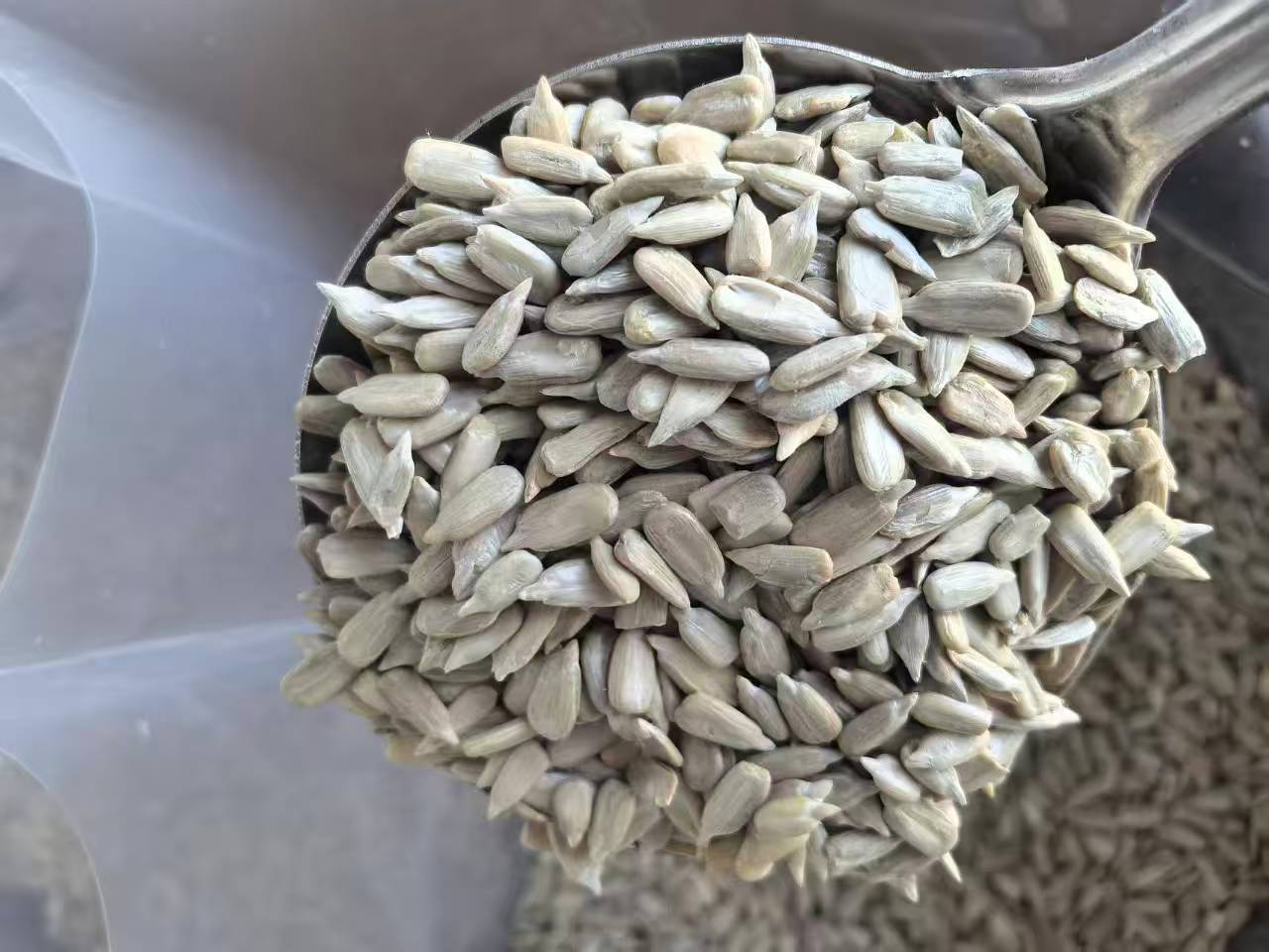 Sunflower kernel/Inner Mongolia Origin
