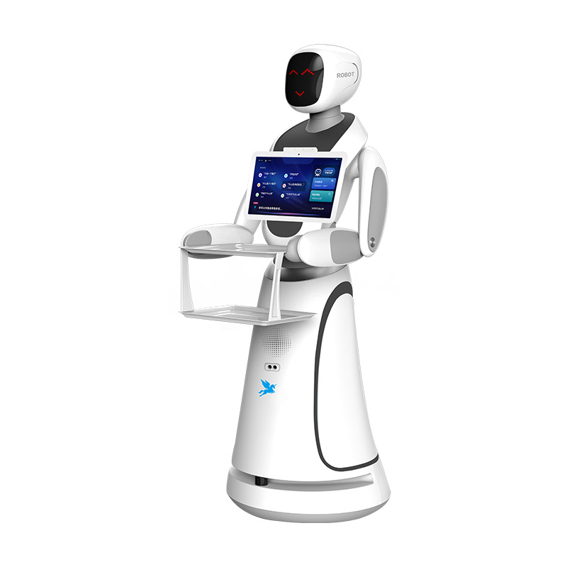 Amy delivery robot