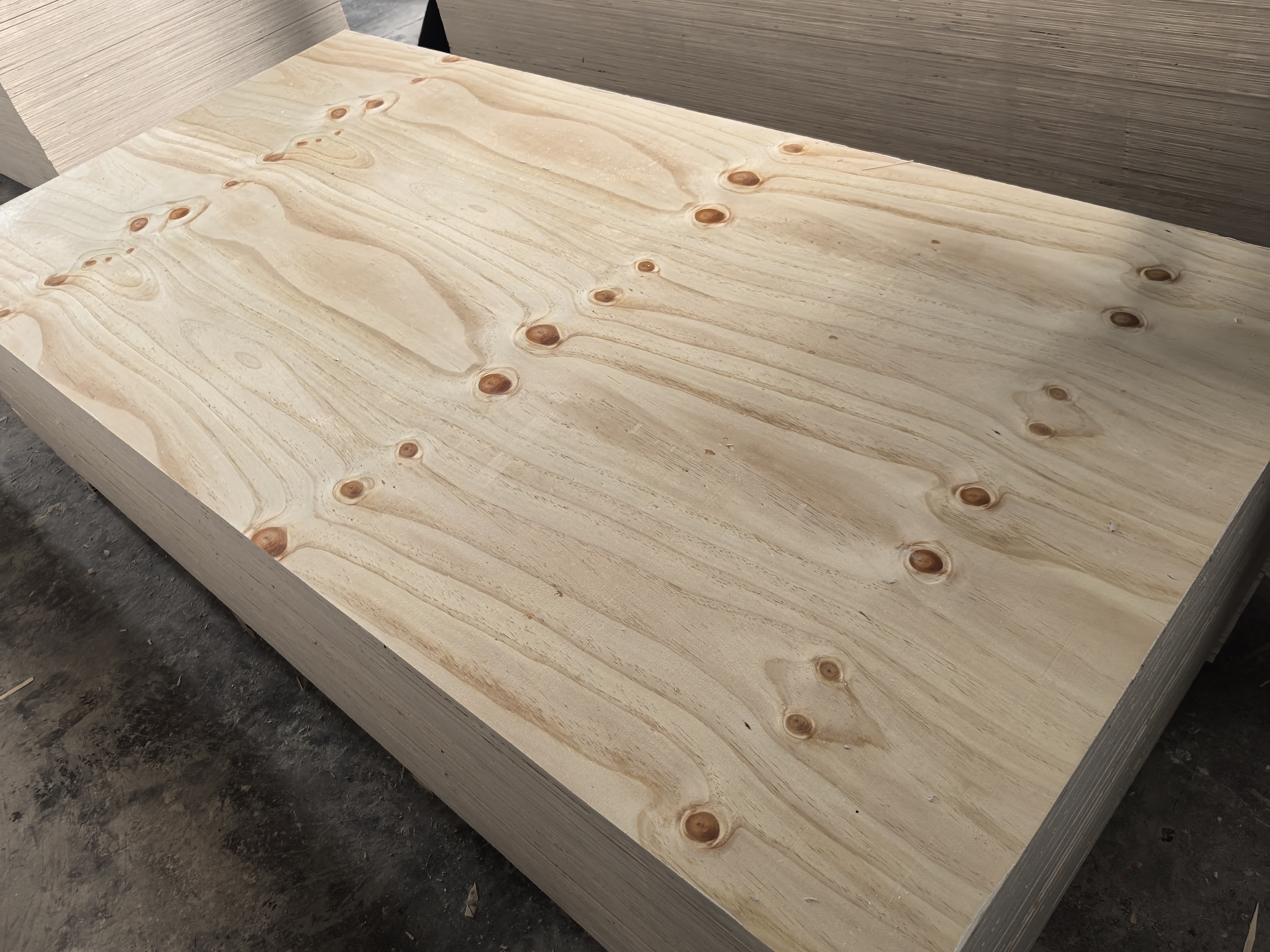 pine plywood cdx