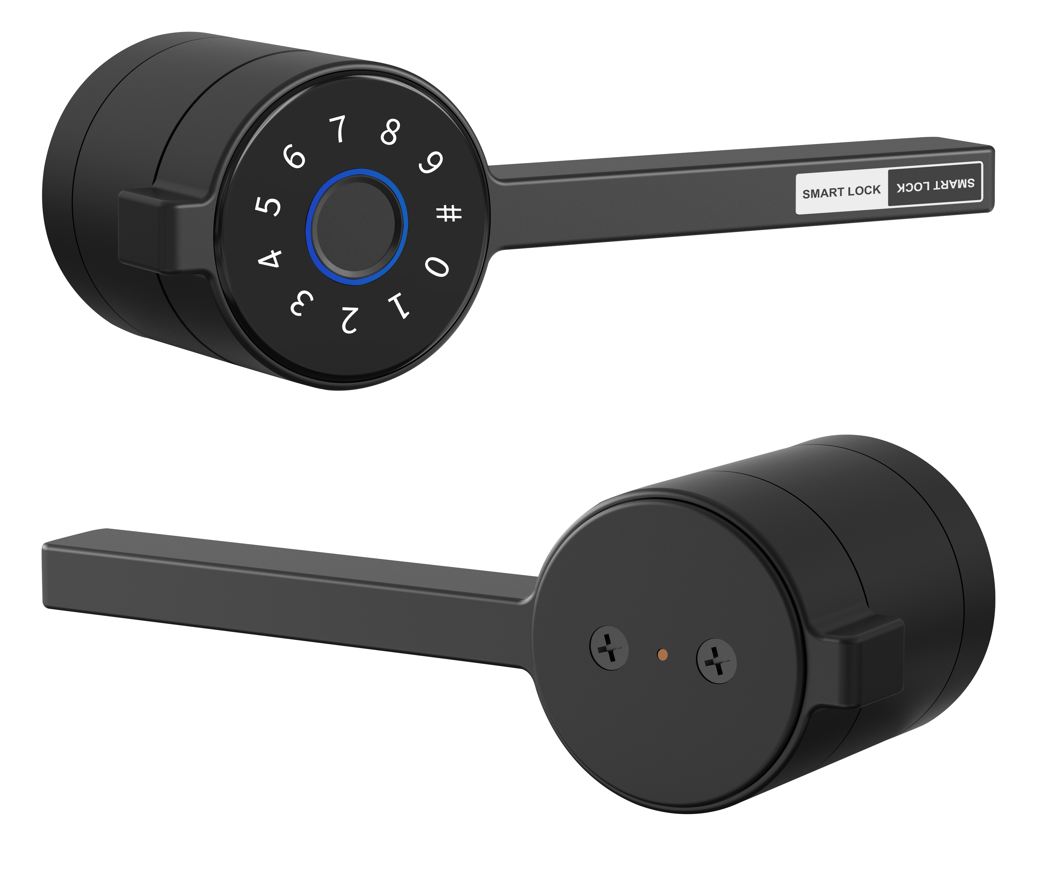 Smart electronic lock with face recognition
