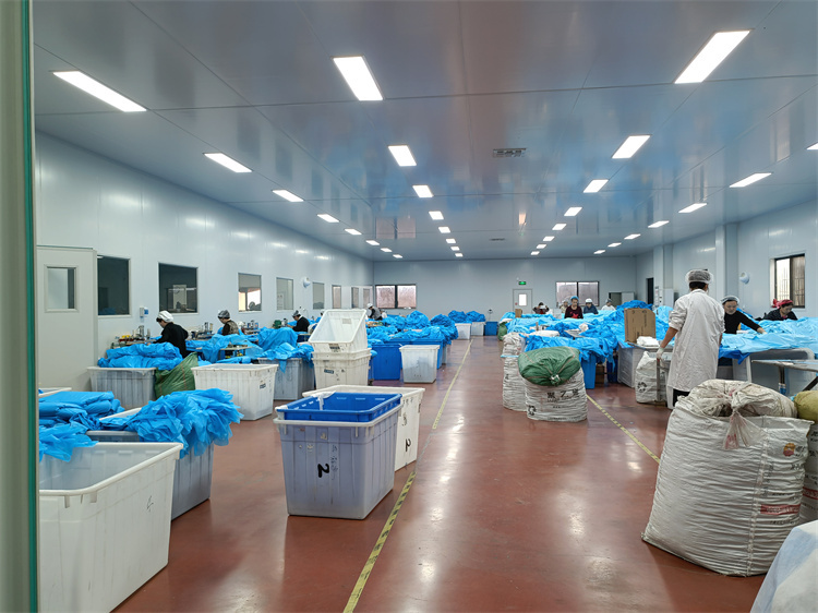 Hubei Ruichen Protective Products Co., Ltd. – other medical materials 2