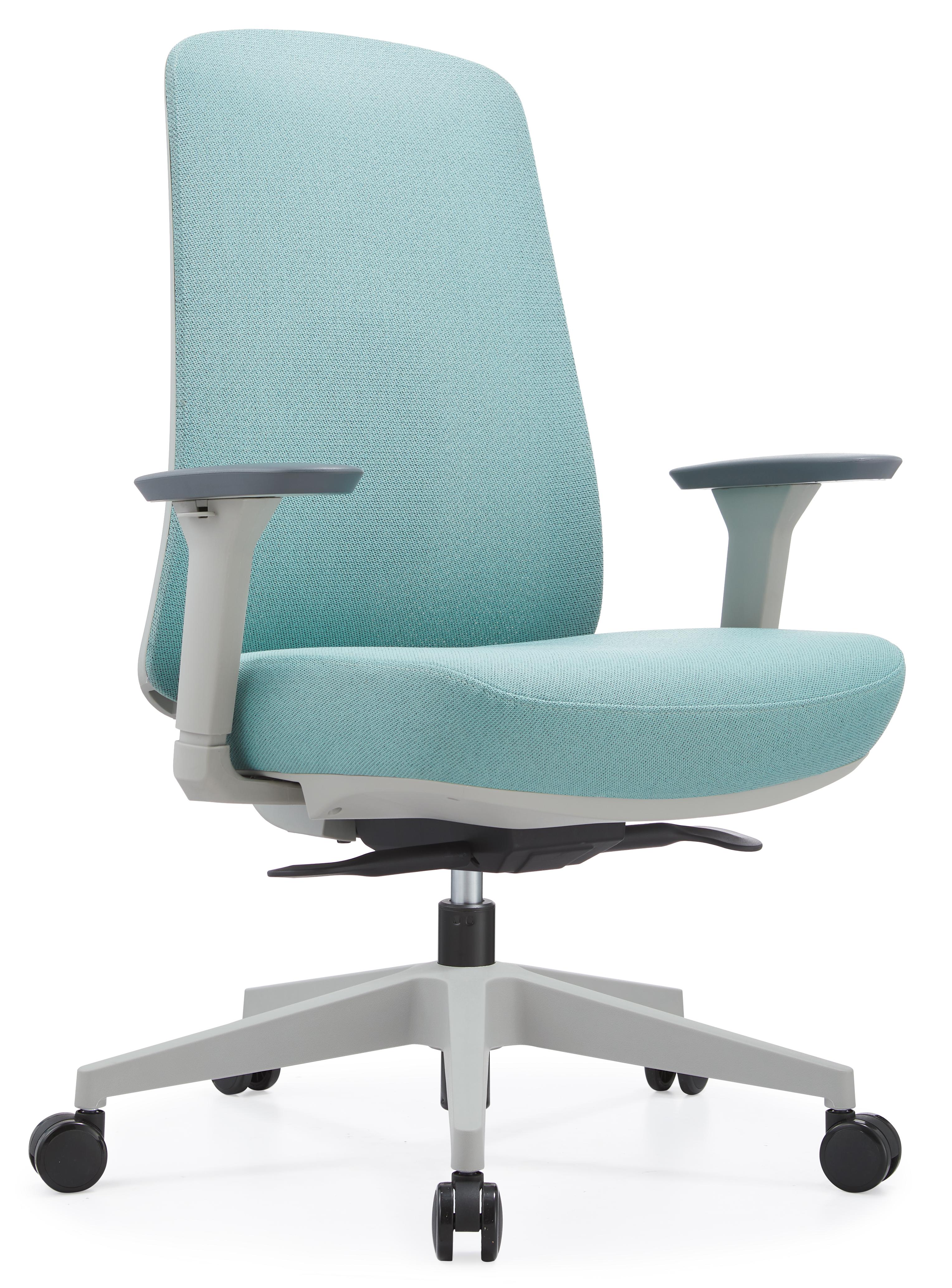 Office ergonomic manager chair