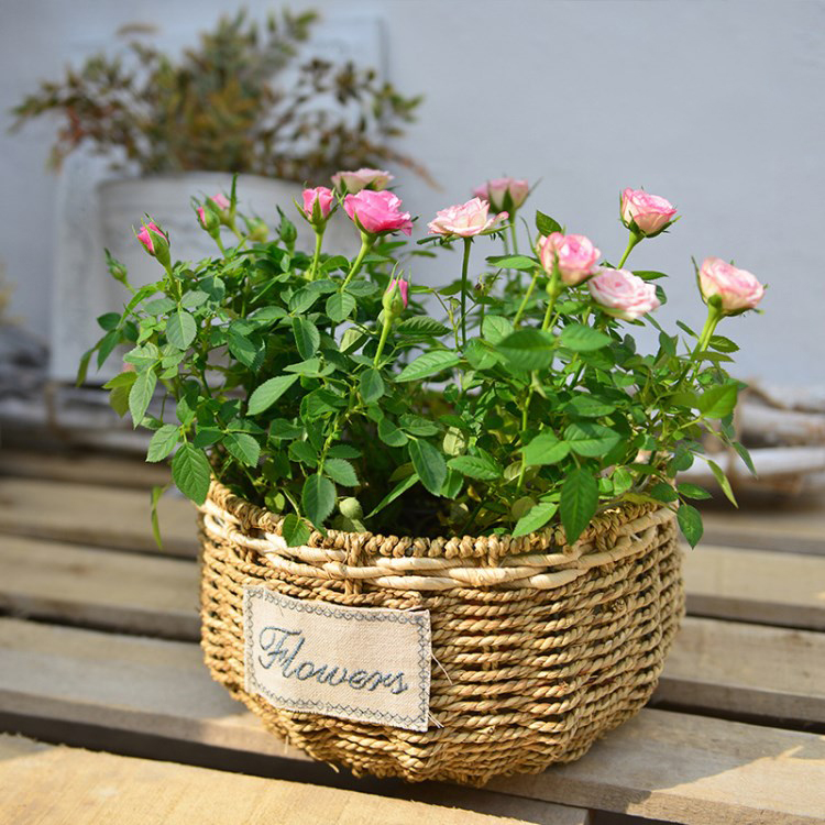 Flowerpot