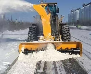 Snow thrower