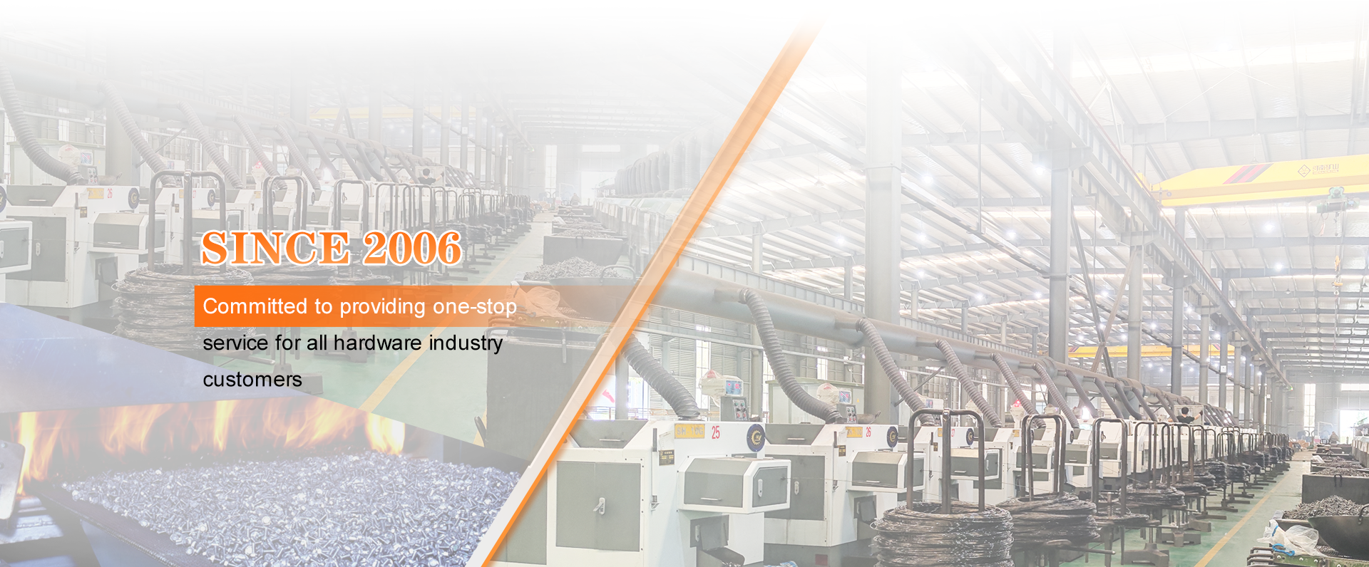 Tianjin Sensang Import and Export Co., Ltd. – Product photos 2