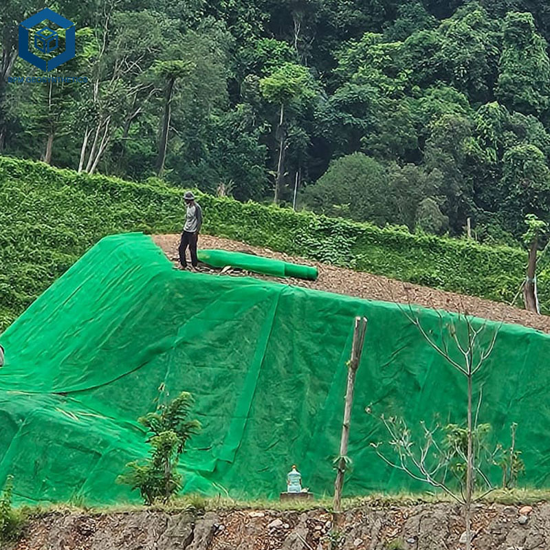 Soil Stabilization Erosion Control High Strengthen HDPE Landscaping Geomat for Grass Cover