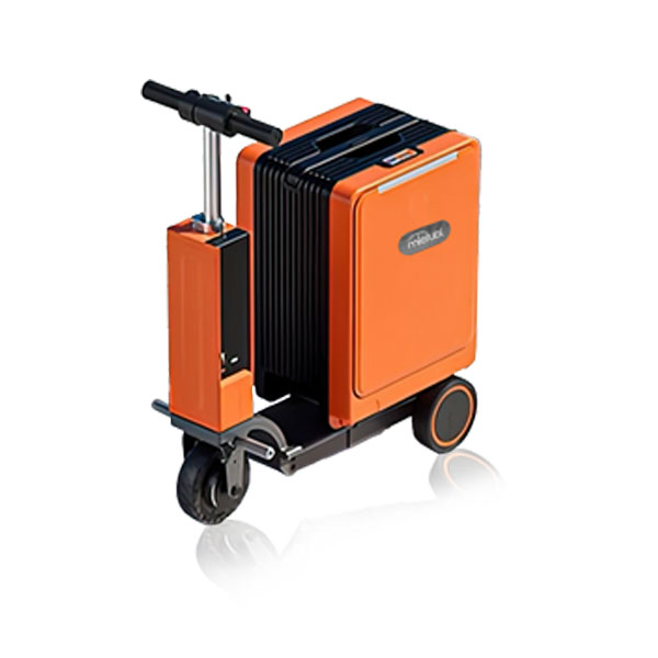 Electric Cycling Luggage Box