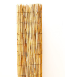 Reed Fence