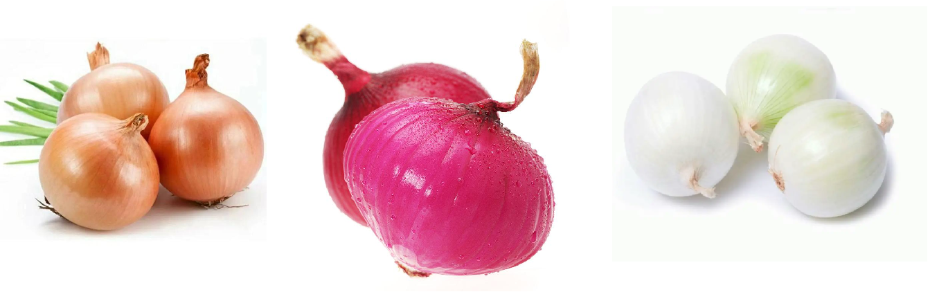 onion