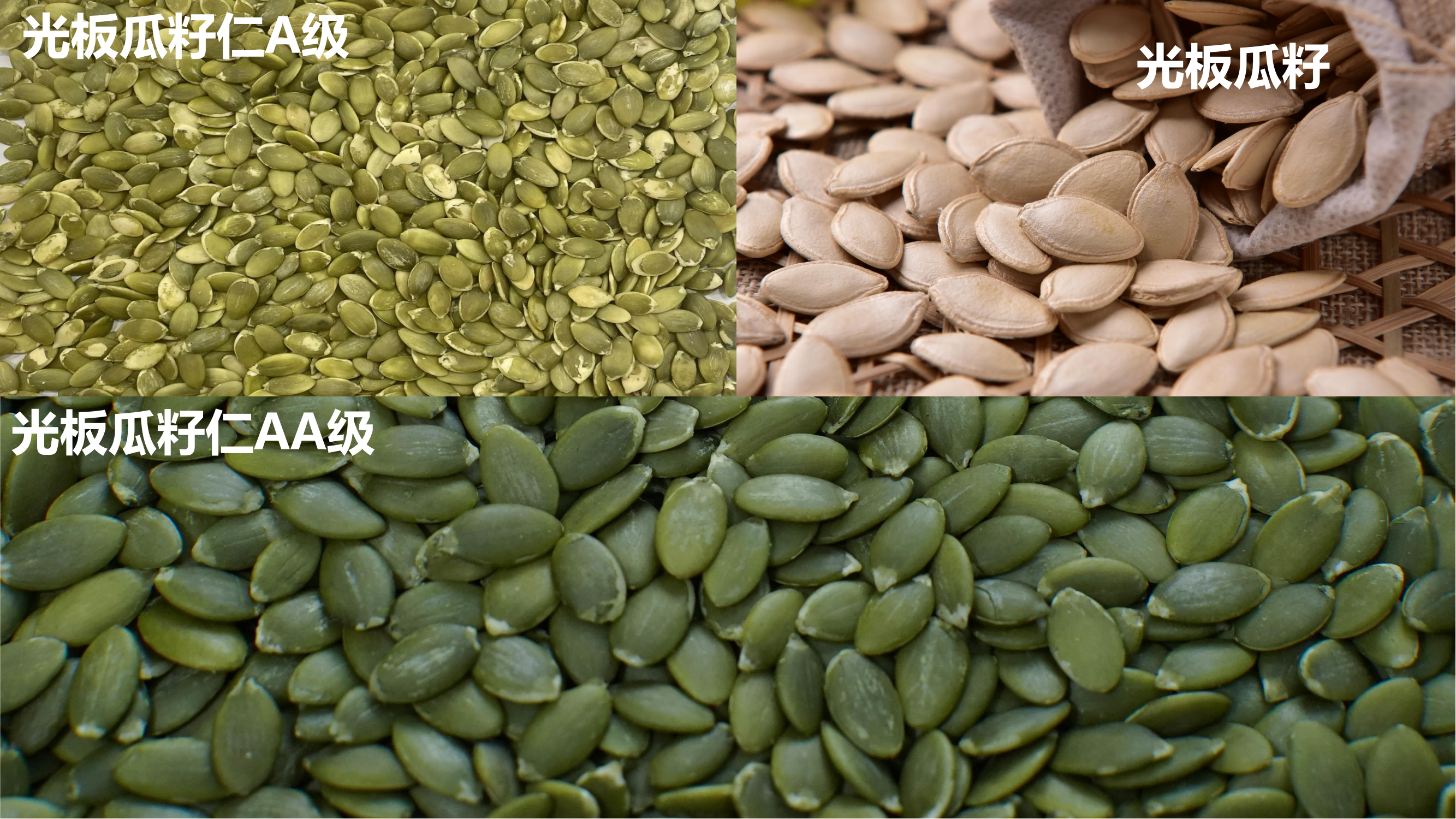 Shine Skin Pumpkin Seed Kernels