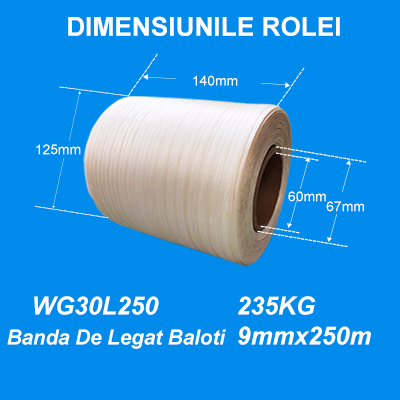 PES poliester Bandă industrială de mare rezistență pentru carton plastic și deșeuri WG30L 9mm*250m