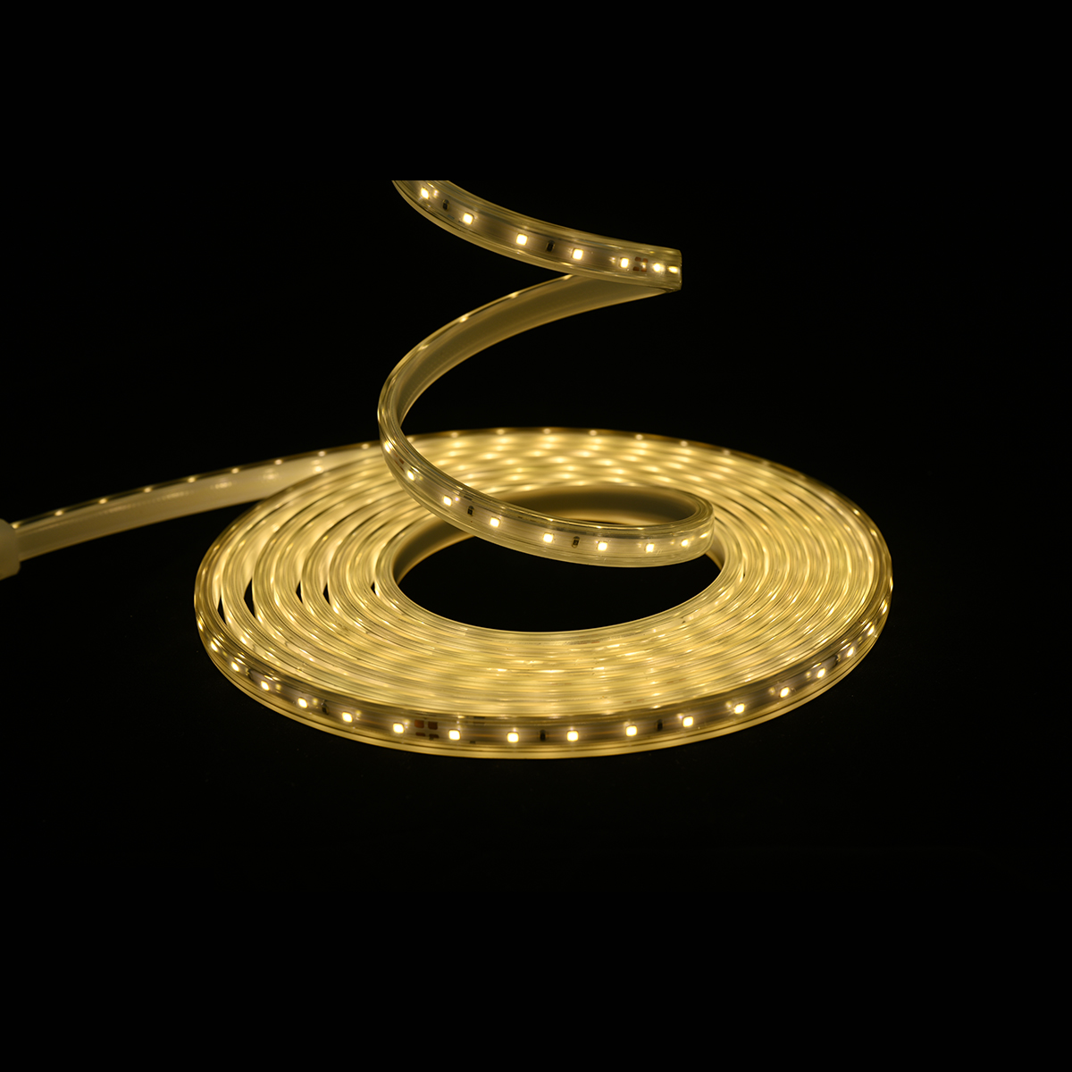 LED Strips 110V/220V