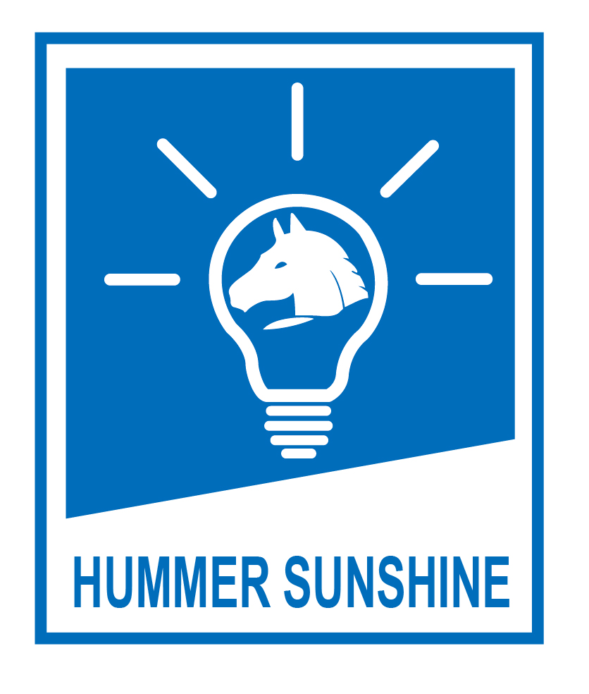 Wuhan Hanma Sunshine Technology Co., Ltd.