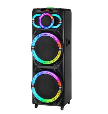 Multimedia speaker