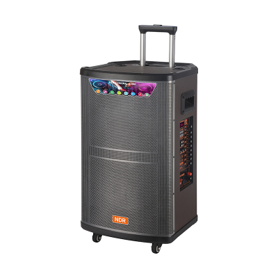 Multimedia speaker