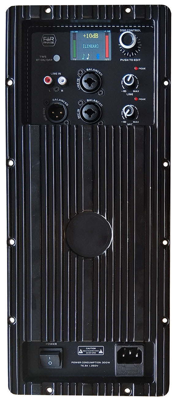 Amplifier Unit With Fir Phase For Two Way Speaker System.