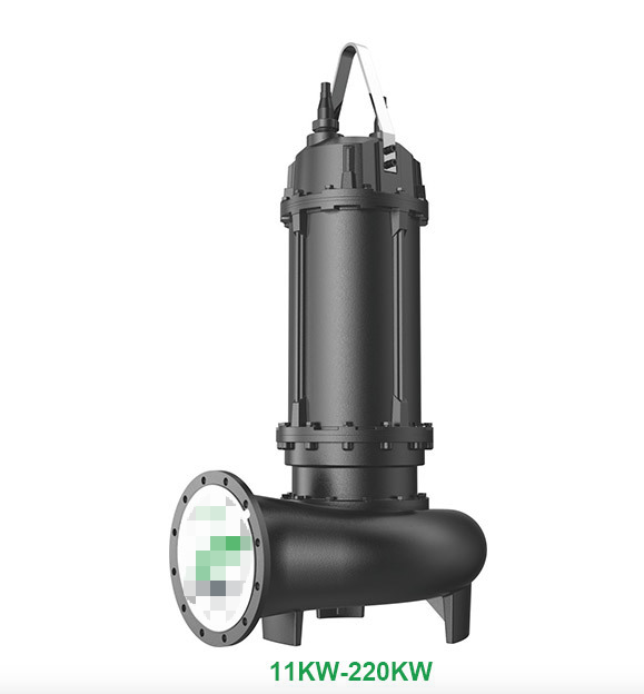 Sewage Pumps