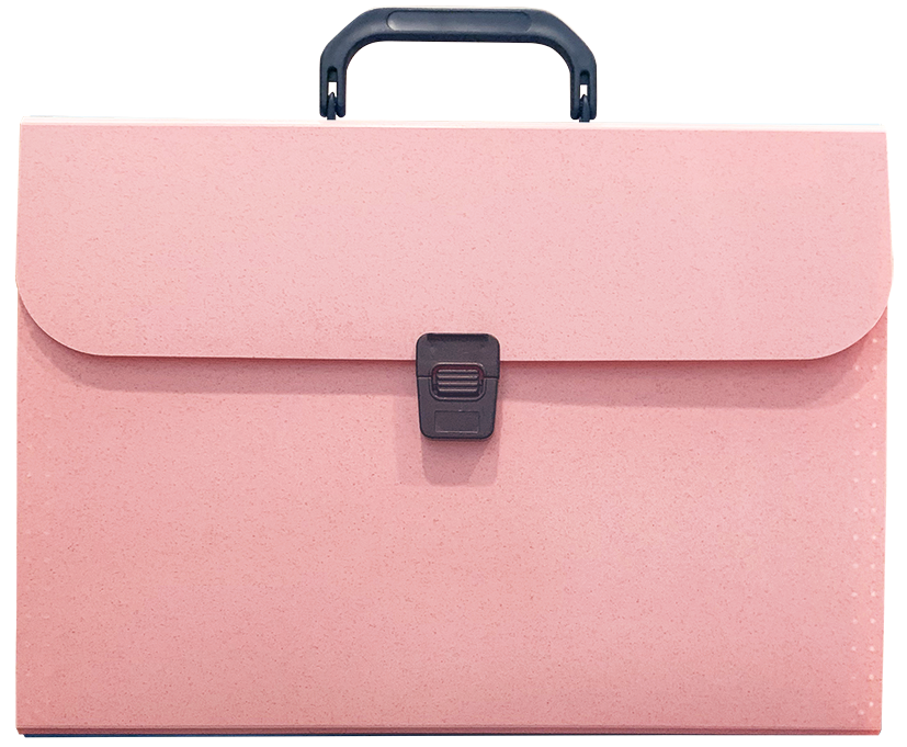Document Bag