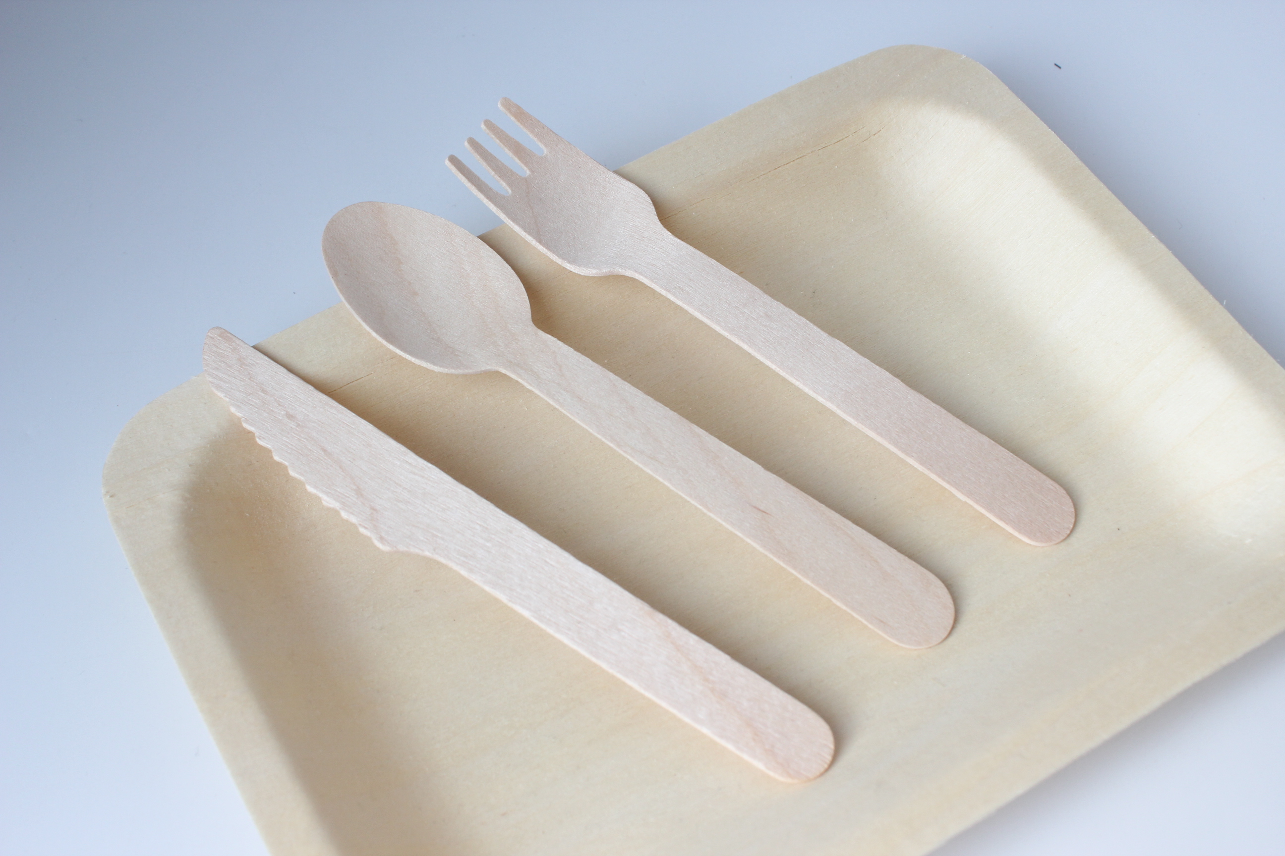Wooden tableware-spoon