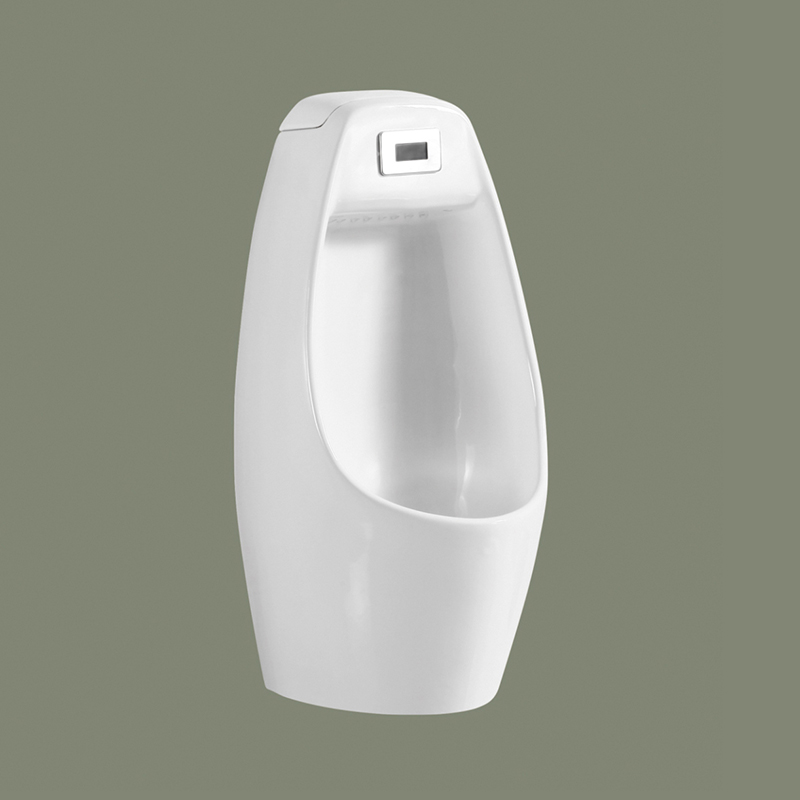 Romance wall hung top flushing installation urinal
