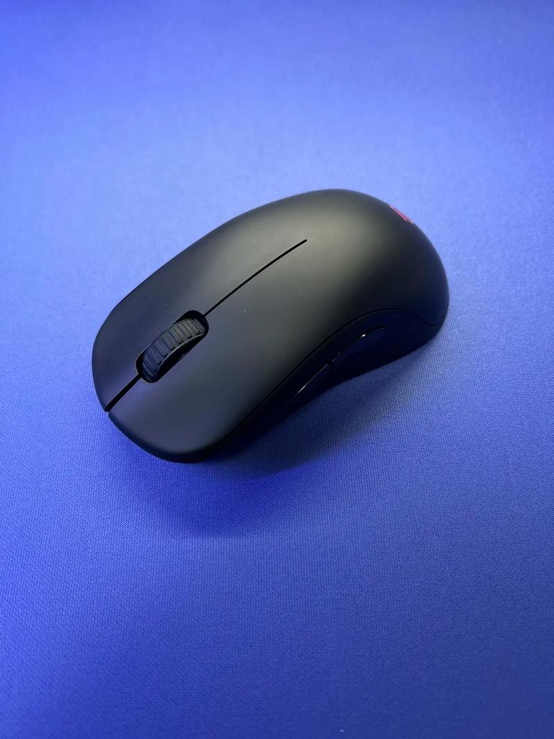 Mouse