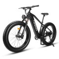 Electric Bike M80 PRO
