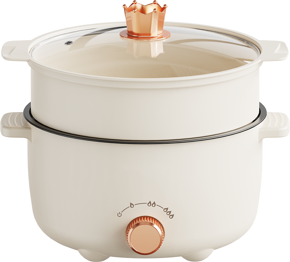 multi purpose cooker