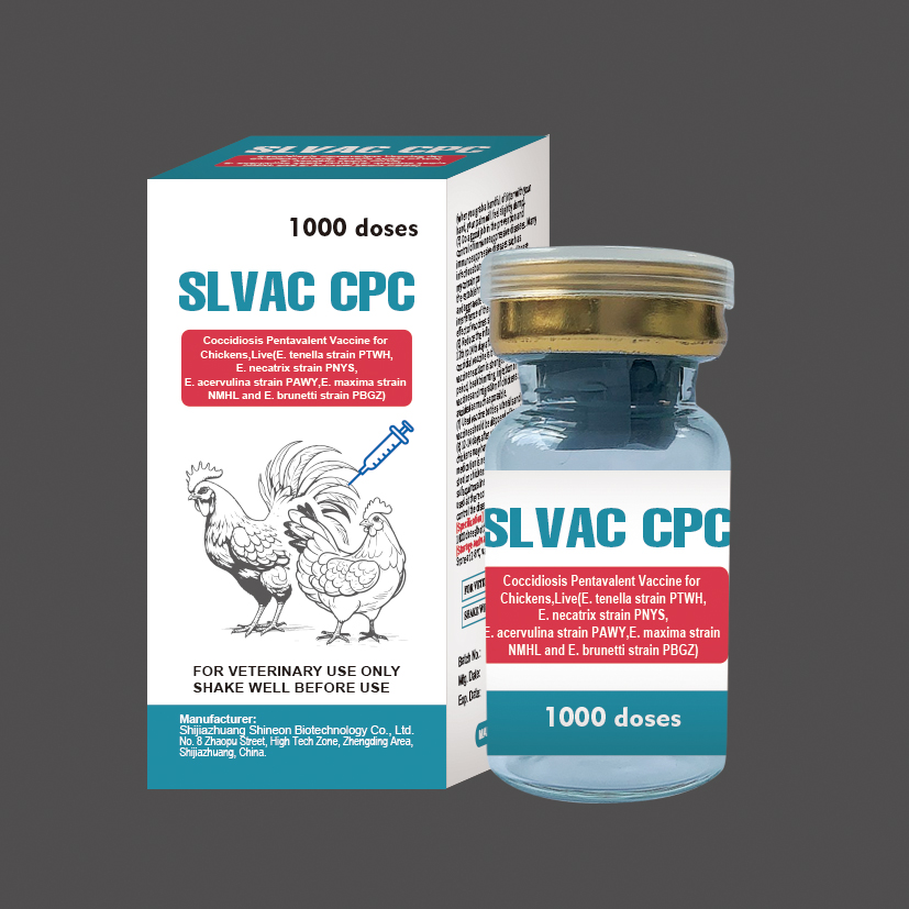 Coccidiosis Pentavalent Vaccine for Chickens，Live
