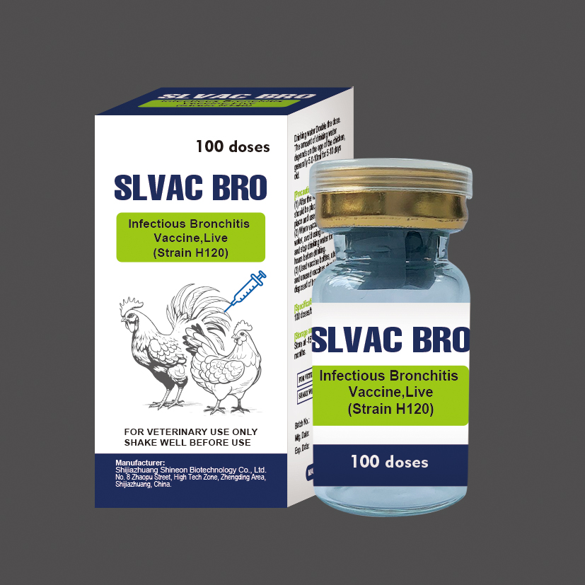 Infectious Bronchitis Vaccine, Live (Strain H120)