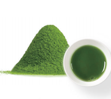 Matcha