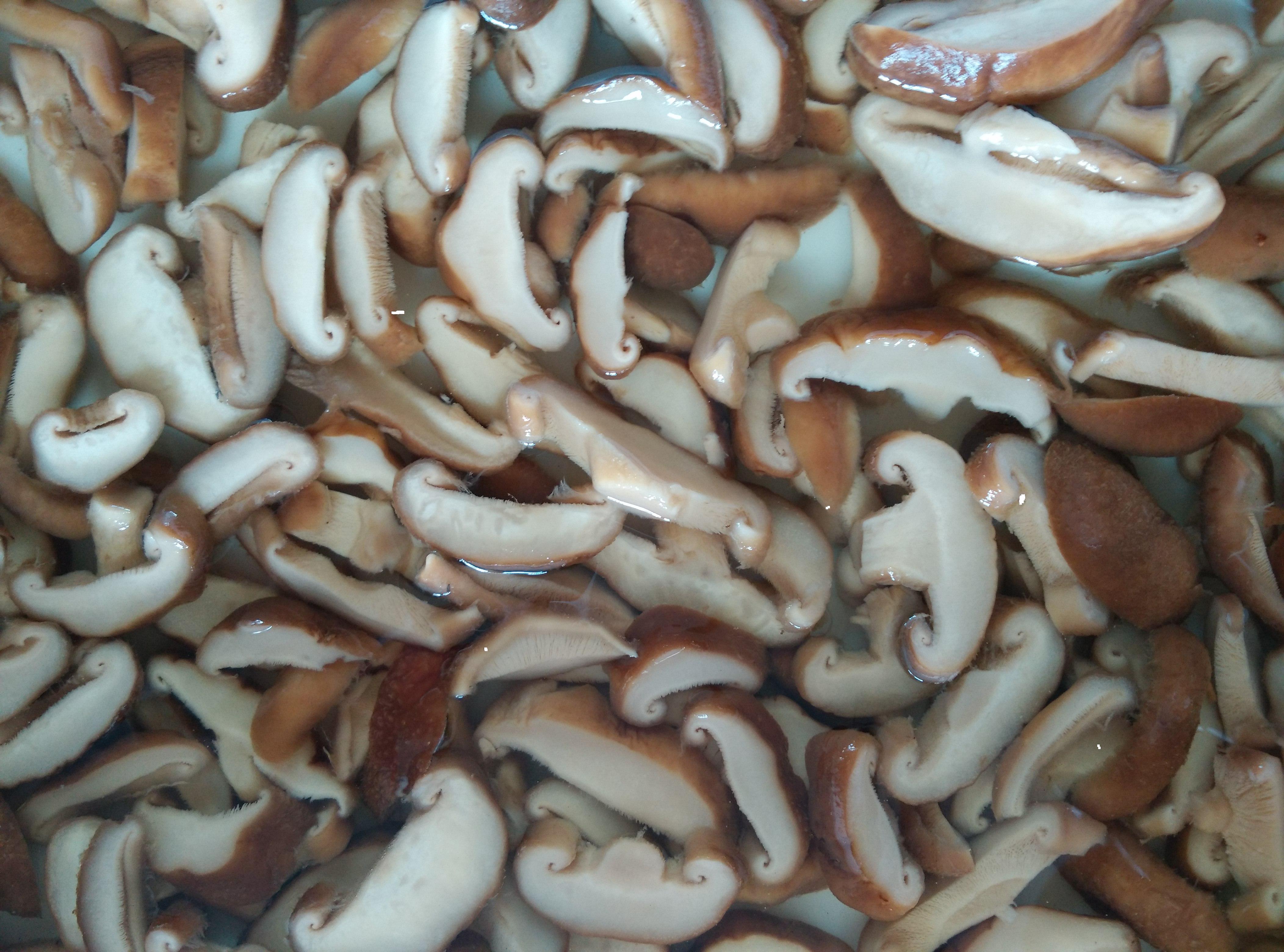 Sliced Shiitake Mushroom