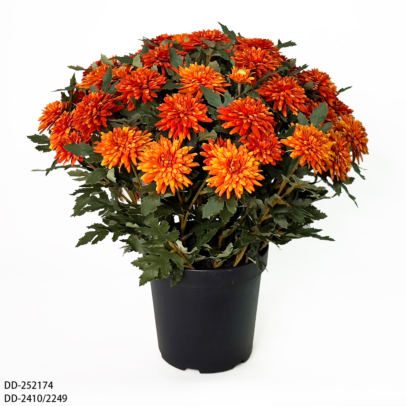 21.5"autumn Chrysanthemum Pot