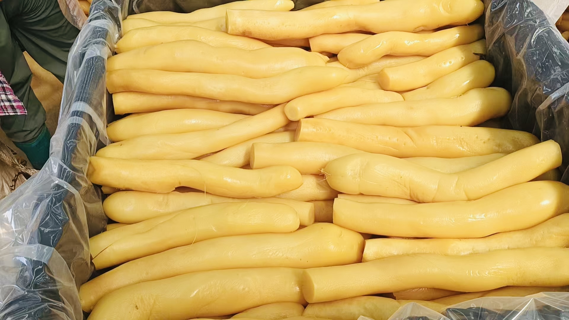 Brine Radish Pickle