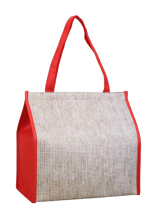 Cooler Bag