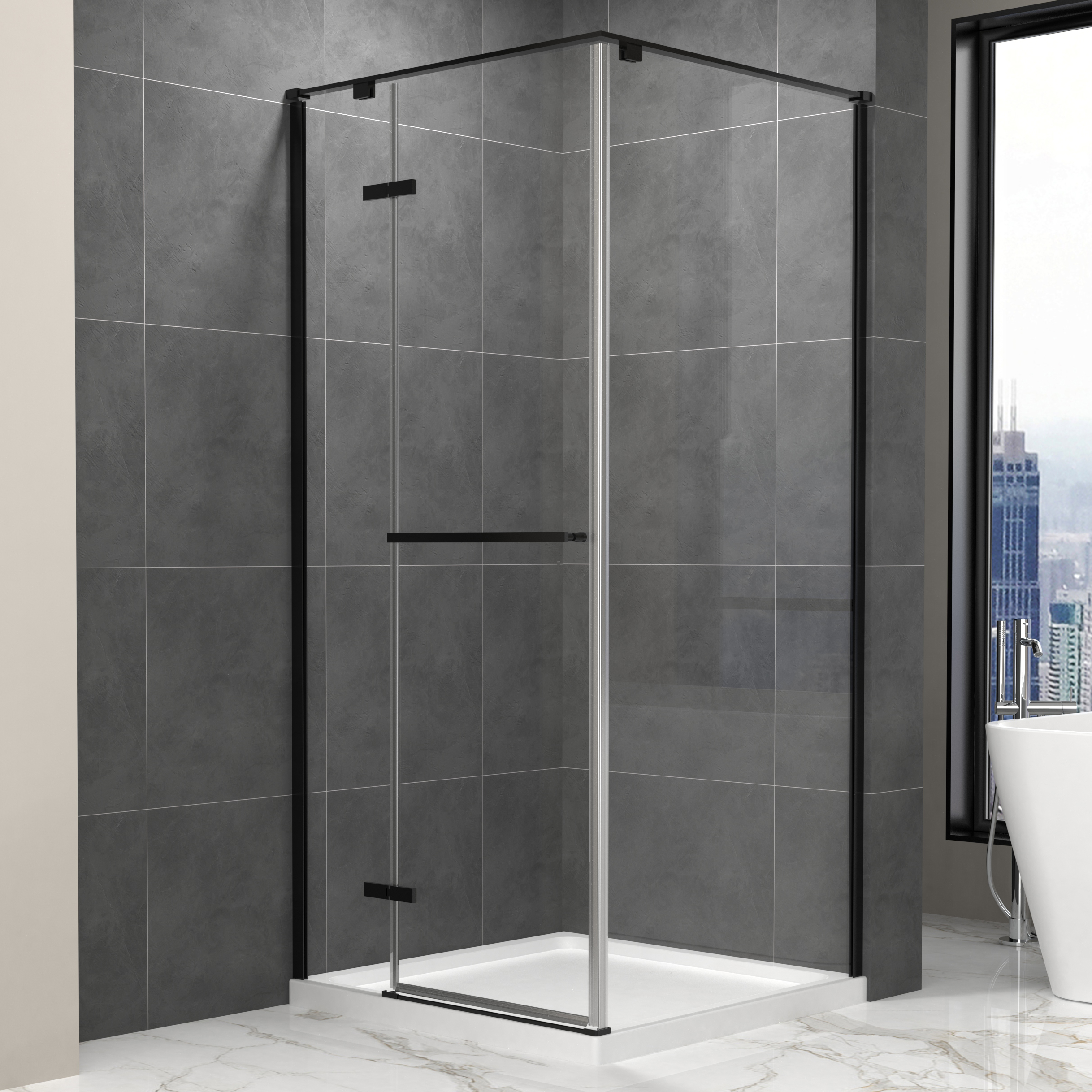 Shower Door/Shower Enclosure/Shower Room
