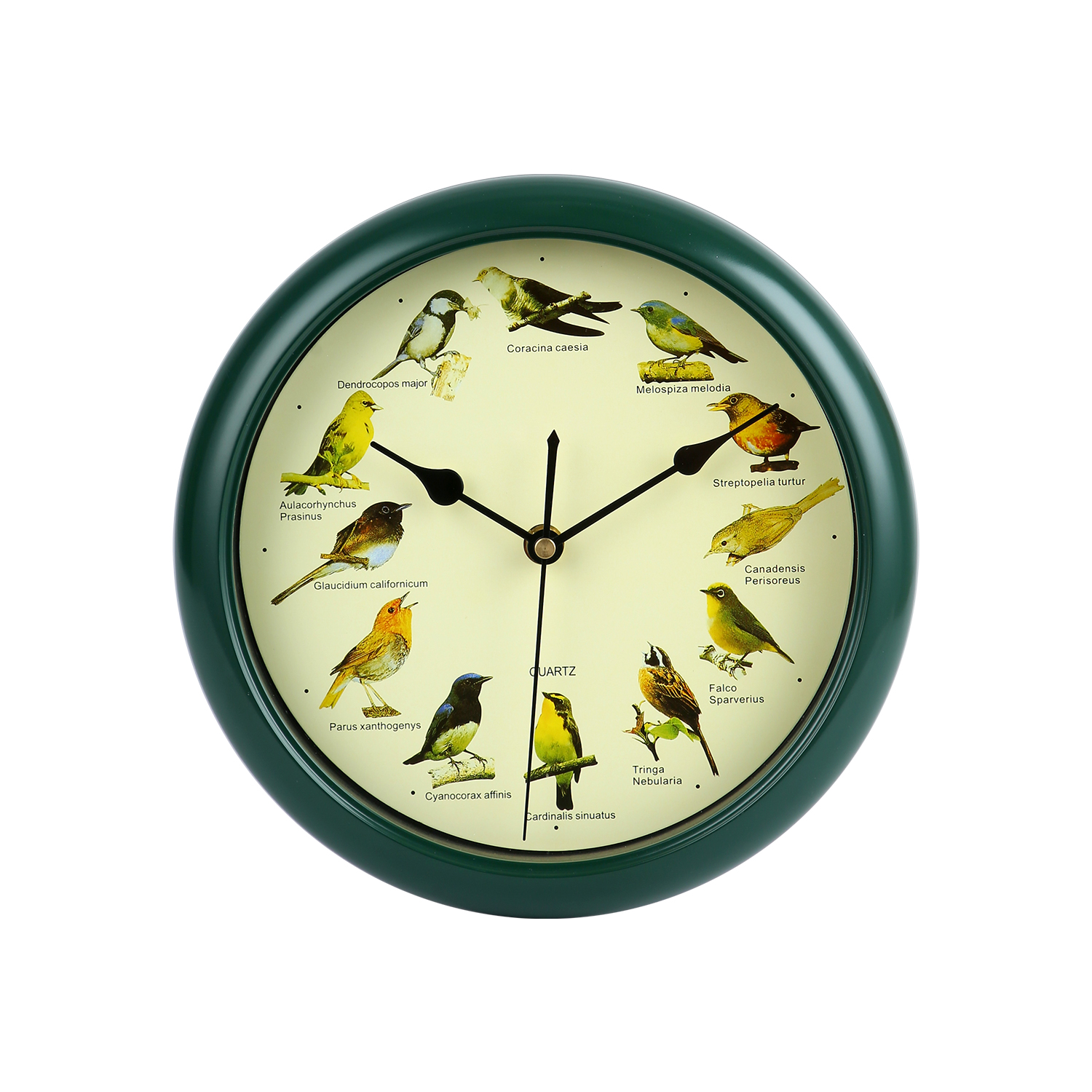 Bird sound wall clock with wooden painting home decor