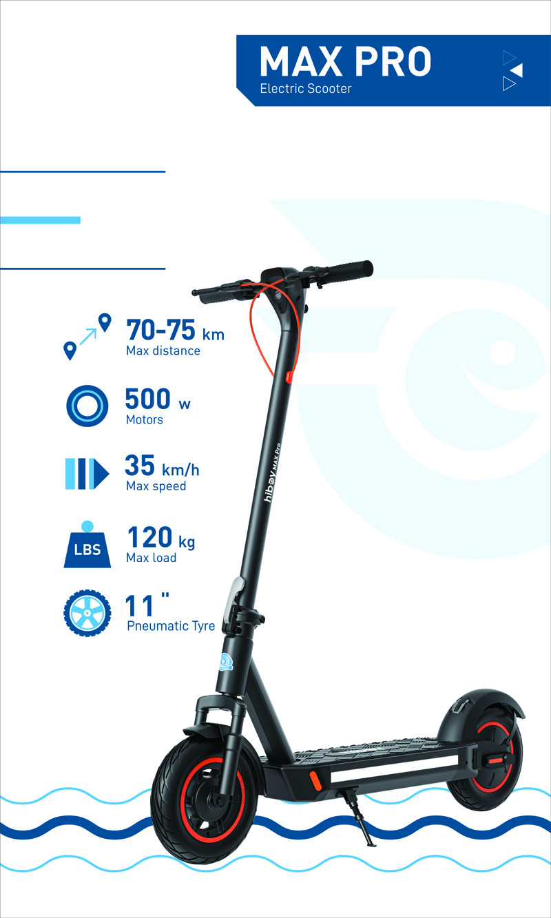 Electronic Scooter