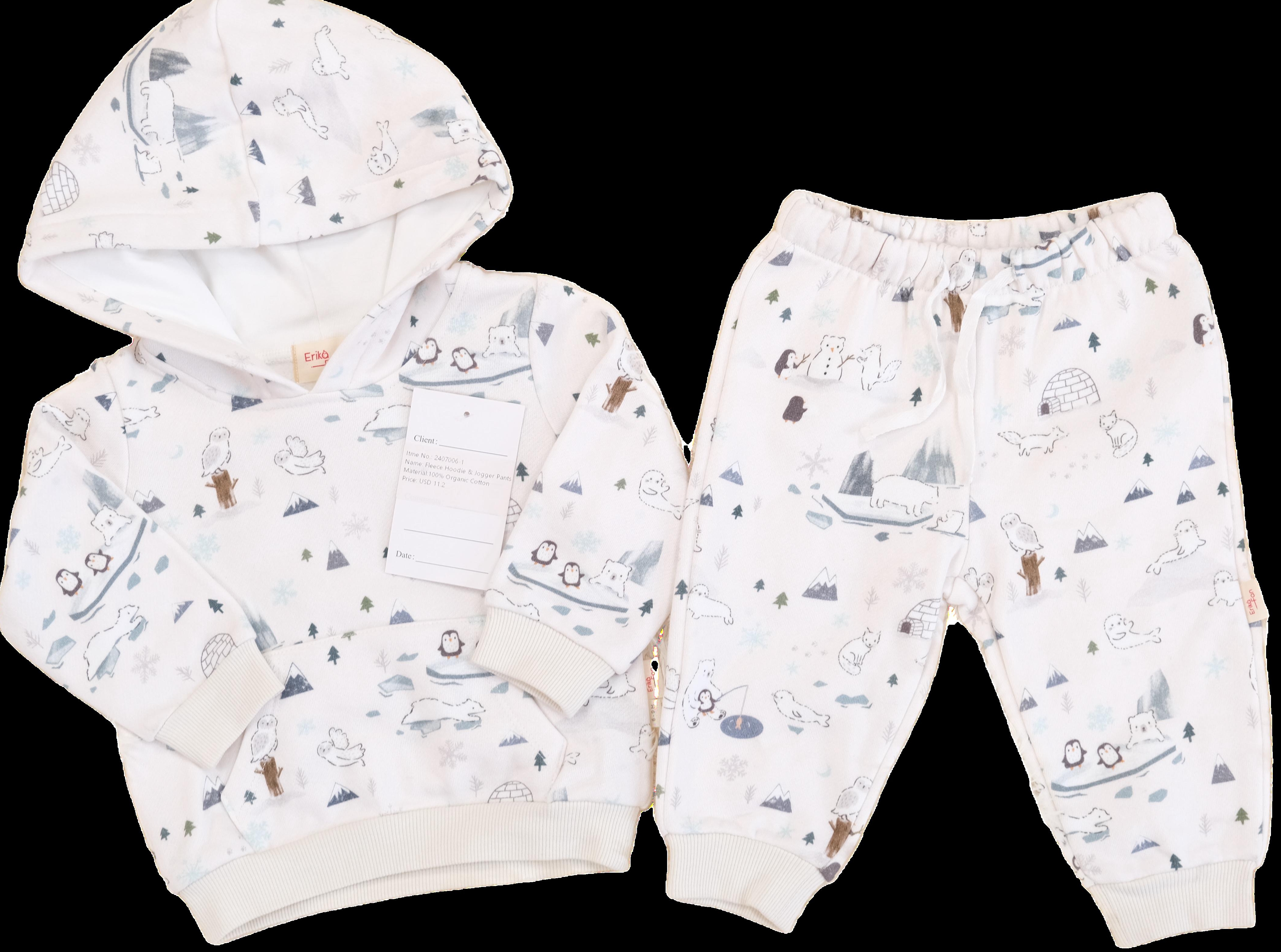baby hoodie set